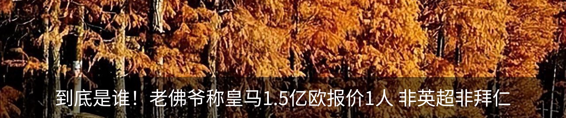 行业资讯