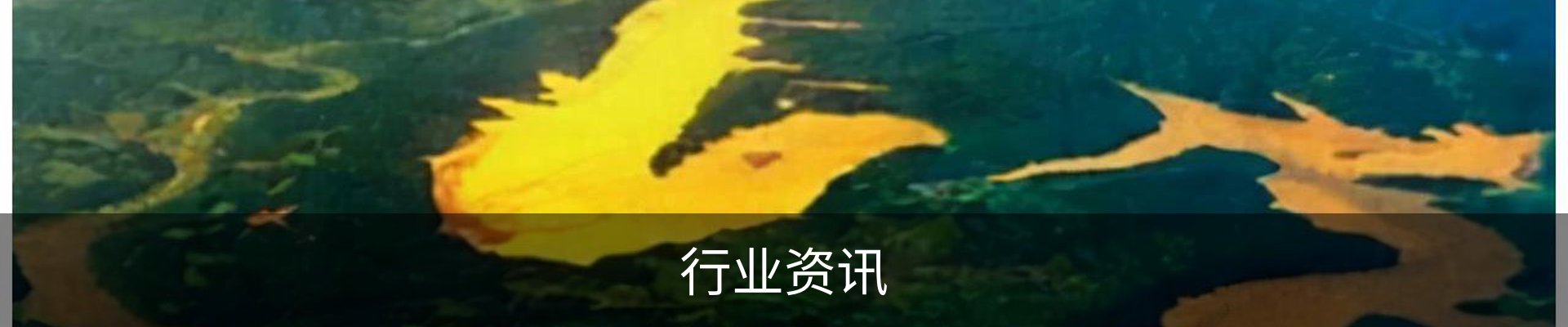 行业资讯